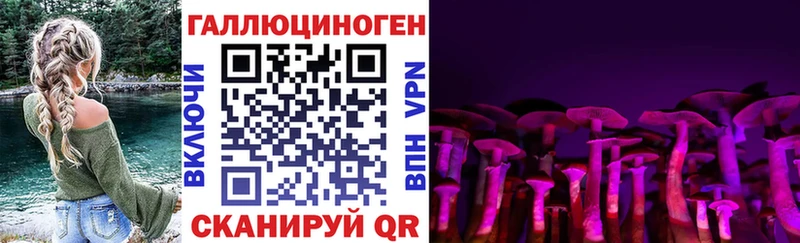 Псилоцибиновые грибы Magic Shrooms  где продают   мега ССЫЛКА  Динская 